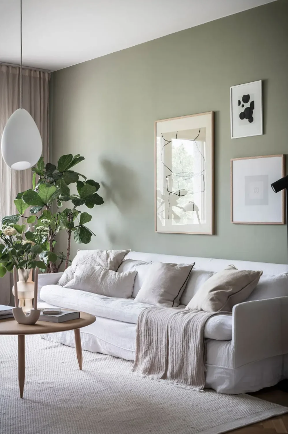 Modern living room colors